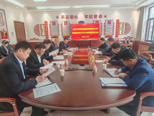 公司黨委領(lǐng)導班子召開2024年度組...