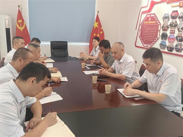 公司領導調研指導鼎信公司、藍盾...